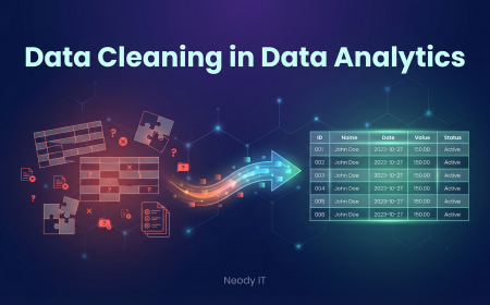 Data Cleaning Guide for Beginners in Data Analytics