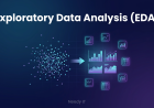 Exploratory Data Analysis EDA Beginner Guide