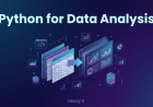 Python for Data Analysis Beginner Guide