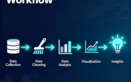 Data Analysis Workflow Beginner Guide