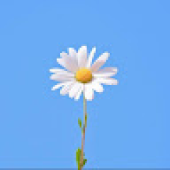 lovely