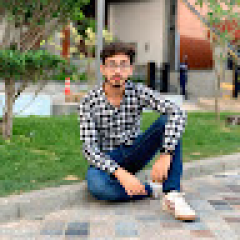 mushahid bashir