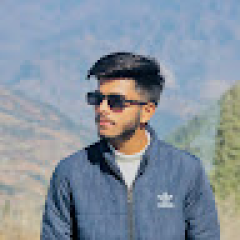 Vansh Dhiman
